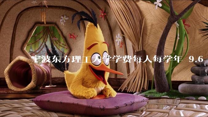 宁波东方理工大学学费每人每学年 9.6 万，为什么会这么贵？