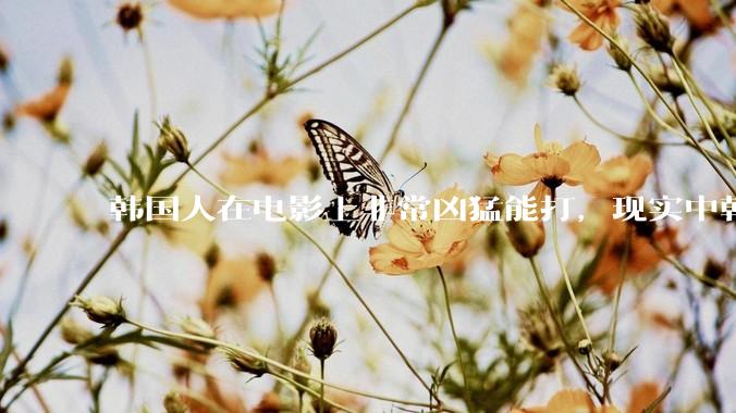 韩国人在电影上非常凶猛能打，现实中韩国男人的战力如何?